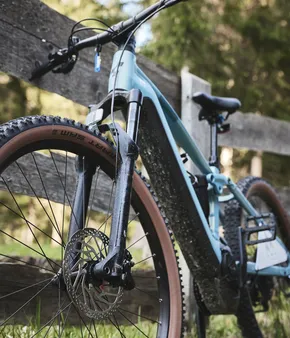 AMA Stay Sommer 344 1