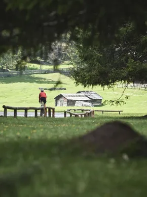 AMA Stay Sommer 286 1